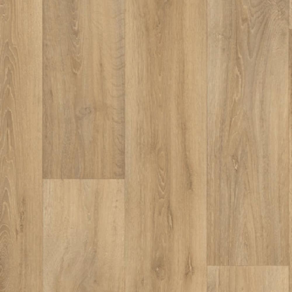 Apex Lime Oak 223M